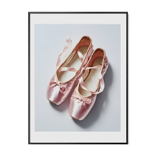 Ballet Shoes - Style 1